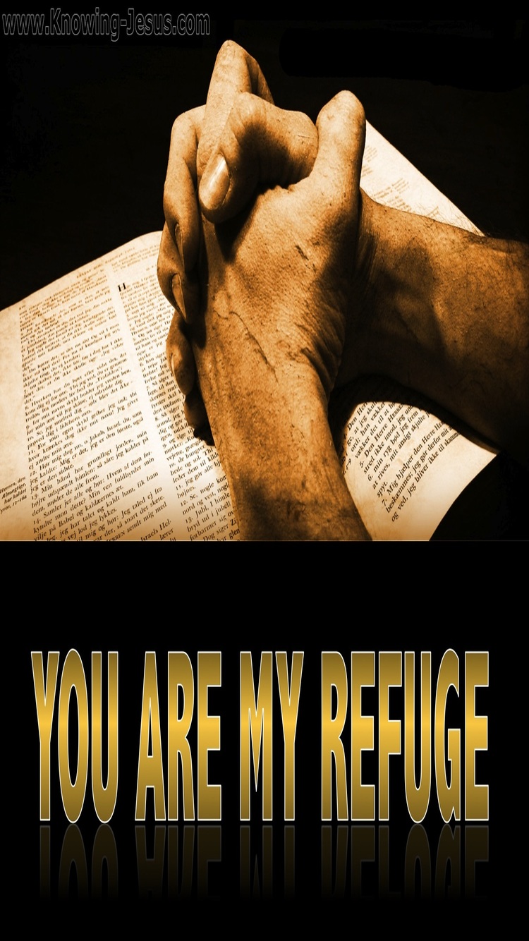 Jeremiah 17:17 You Are My Refuge (beige)